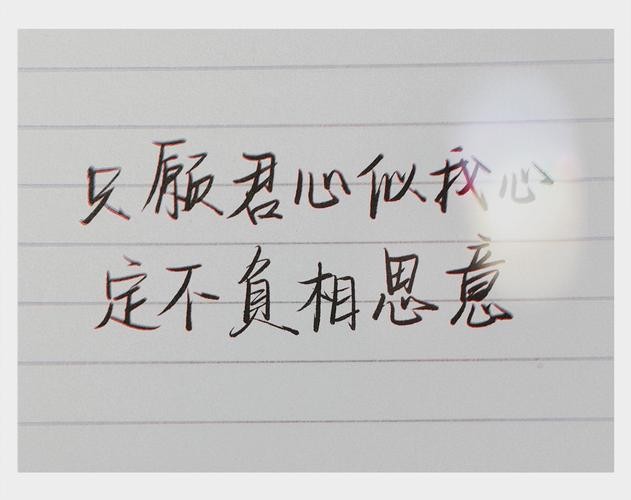 定不负相思意什么意思(定不负相思意是什么意思)