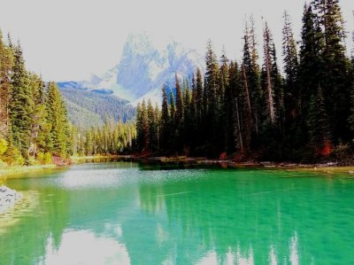 碧绿碧绿的什么?雪白雪白的什么?(碧绿碧绿的什么雪白雪白的什么怎么造句)