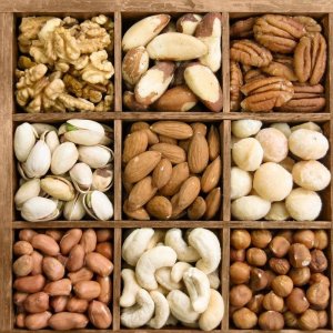 坚果包括哪些(坚果解释)