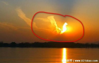 ​世界上最后一只凤凰，据传黑龙江有人目睹(其实就是云彩)