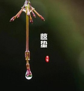 惊蛰的寓意