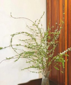 真正有能力的人有哪些特征