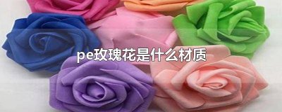 pe材质花是什么材料 pe玫瑰花怎么制作方法