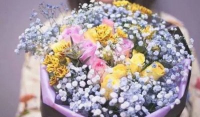 ​满天星的花语和含义，固然满天星光尔的眼里也惟有你