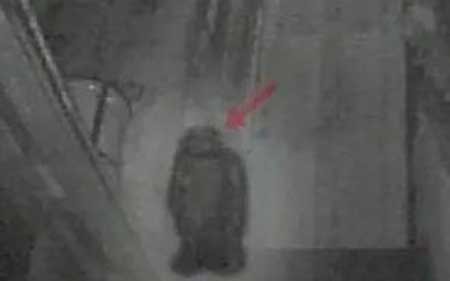 美国凯尔斯酒吧灵异事件,一个停尸房建成的酒吧