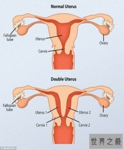 ​双倍愉悦让你我跟亲近