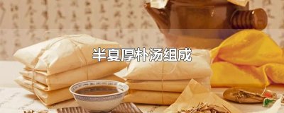 ​半夏厚朴汤组成