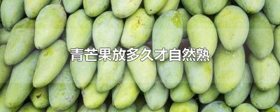 ​青芒果放多久才自然熟