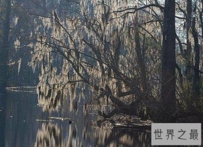 ​盘点十大世界上最恐怖的地方，胆小的千万不要进来！