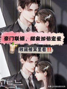 建议收藏!六本男女主双豪门联姻!双倍甜宠文