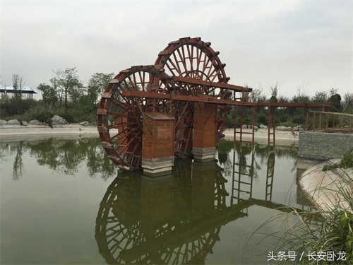 免费休闲好去处——渭南蒲城卤阳湖国家湿地公园