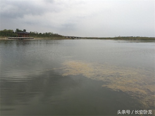 免费休闲好去处——渭南蒲城卤阳湖国家湿地公园