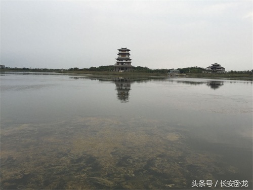 免费休闲好去处——渭南蒲城卤阳湖国家湿地公园