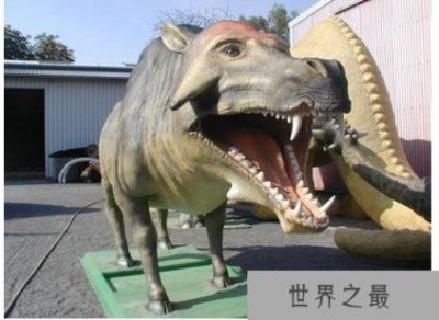 ​史上最凶猛的猪，完齿猪可以瞬间咬断你的骨头