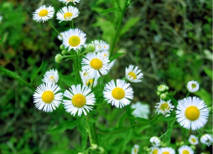 一生独具慧眼，看透不说透，看人眼光最精准的三大生肖