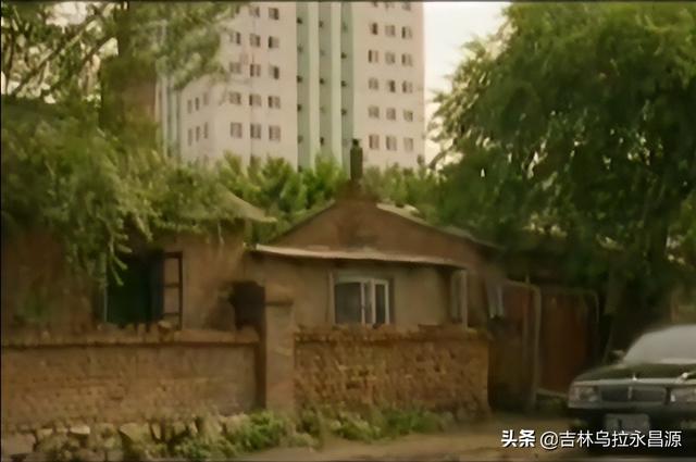 电视剧演员陈瑾(陈瑾出演的电视剧中)(9)