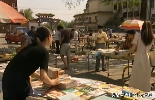 电视剧演员陈瑾(陈瑾出演的电视剧中)(10)