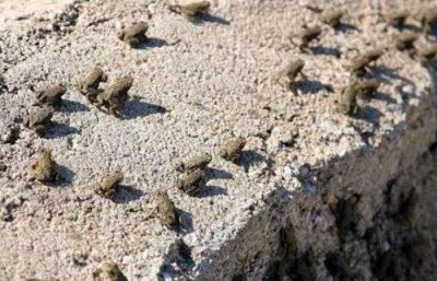 ​世界十大罕见的怪雨