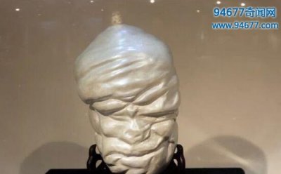 ​世界最大珍珠，竟然比人脑还大价值高达6.6亿元