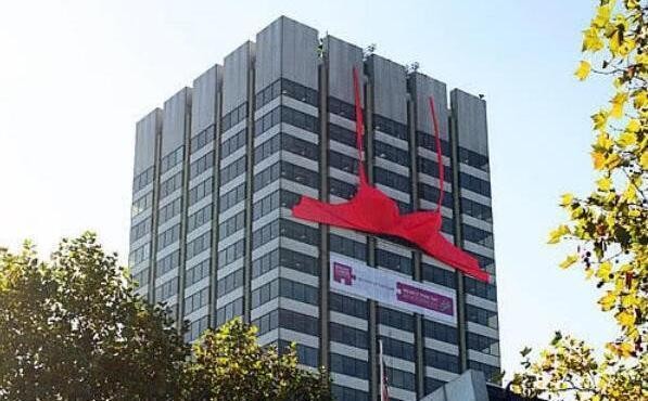 世界上最大的文胸,就算是巨人也穿不下!