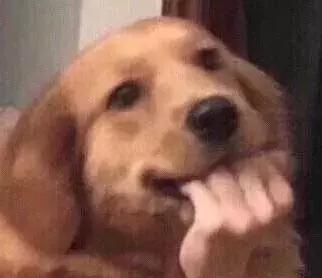 济州岛自由行一日游攻略(宁波-济州岛10元)(1)