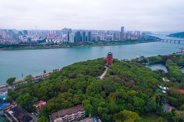 湖南最大的株洲(世界第八大洲株洲)(4)