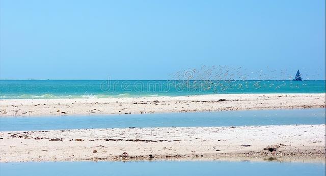 湖南最大的株洲(世界第八大洲株洲)(3)