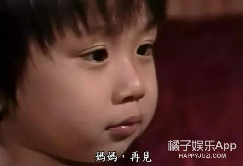 小彬彬和小小彬对比(还记得小小彬的爸爸小彬彬吗)(9)