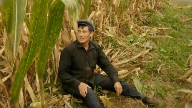 朱之文回忆北漂时住猪圈吃树芽 朱之文成名后痛苦(24)