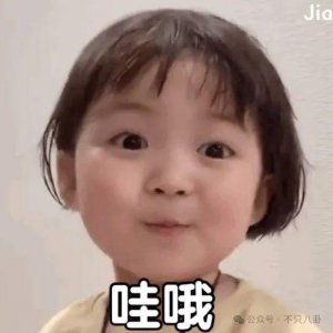​果然恋爱使人发疯！他可终于抱得美人归了啊……