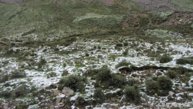 成都出发骑行到拉萨要多少天(从成都骑行到拉萨只要20天)(9)