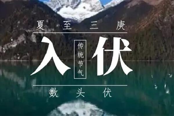 入伏吃饺子还是面条 入伏吃什么养生 入伏吃饺子还是面条 入伏吃什么养生