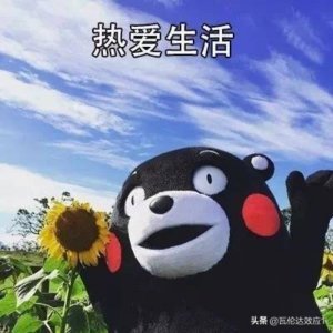 北京青年经典台词(50句电视剧经典台词)