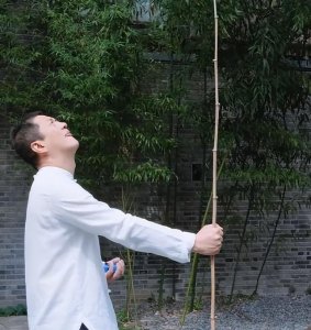 李亚鹏和王菲的婚姻(李亚鹏豪掷4亿开民宿)