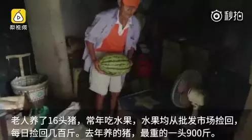 非诚勿扰公认五大女神(宁静自曝结婚时不爱前夫)