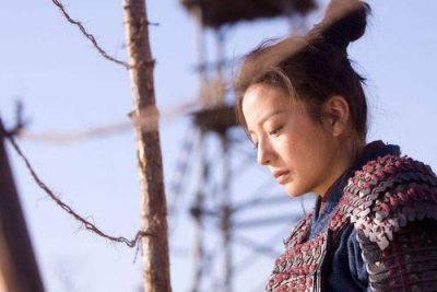 赵薇苏有朋新电影(赵薇版花木兰评分飙升)