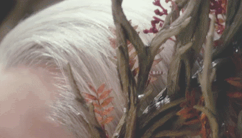 指环王20周年国内电影(指环王重映全网)(9)