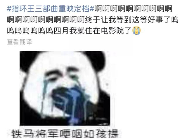 指环王20周年国内电影(指环王重映全网)(3)