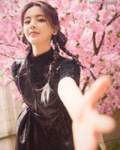 杨超越红毯回顾:曾经的锦鲤女孩如今何去何从?