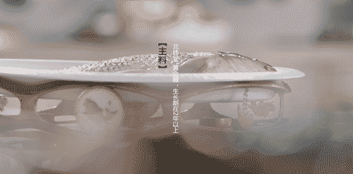 美味来自朴实无华的烹饪(是每一餐食不可或缺的一味料)(2)