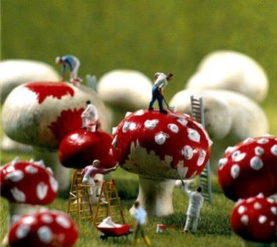 简要概括到达小人国的故事情节