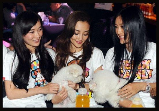 李小璐主演的电视剧排行榜(李小璐3岁出演电视剧)(5)