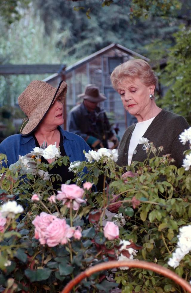 日本系列侦探电影推荐(侦探片影迷来读一下这篇)(1)