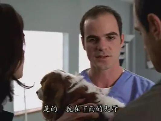 日本系列侦探电影推荐(侦探片影迷来读一下这篇)(7)