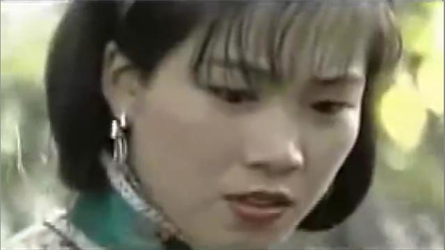 狼行拂晓主演是谁(狼行拂晓老电视剧)(26)