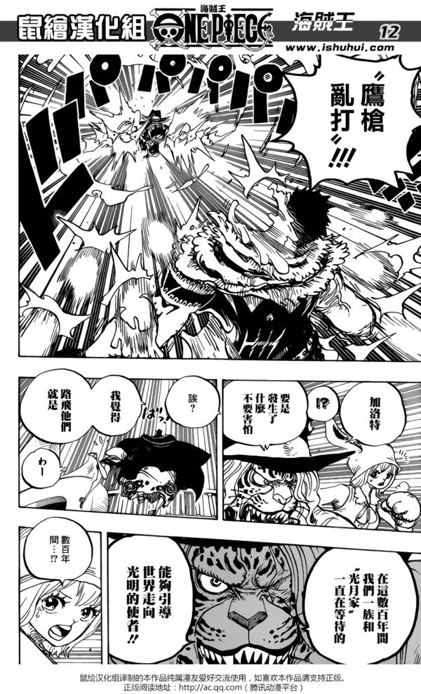 海贼王漫画1007话详细情报(海贼王漫画877话汉化)(11)
