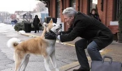 推荐感人的电影(感人电影催泪的电影排行榜前十名)