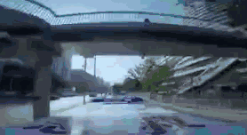 猎场电视剧收视率如何(收视率赶超猎场)(17)