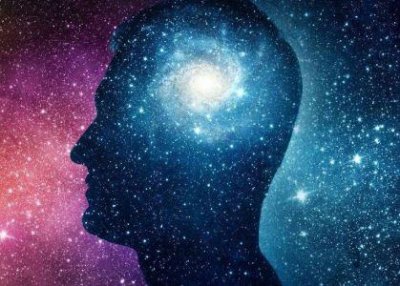 ​象鸟有多大 象鸟的体重是多少千克