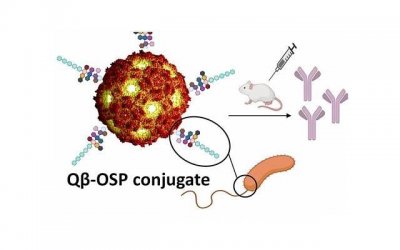吴镇宇微博骂曹格(曹格和吴镇宇怎么了)